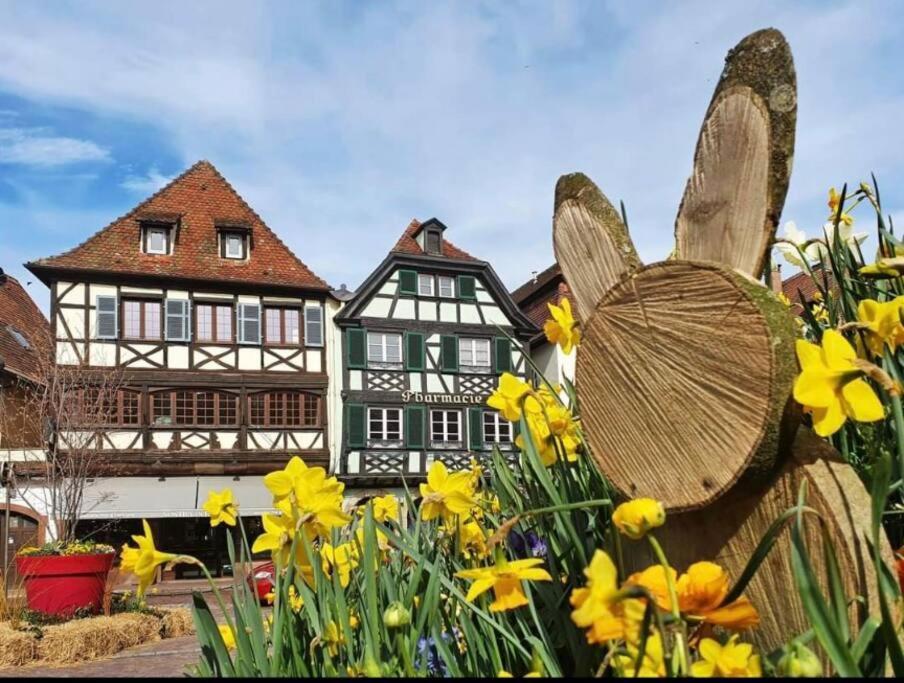 L'appar't - Centre Historique De Apartment Obernai